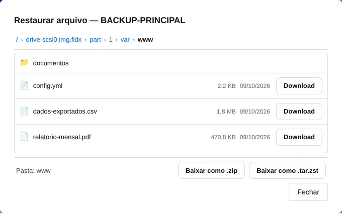 Pasta /var/www dentro do backup, com o download de cada arquivo e da pasta em .zip
